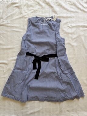 English Factory Blue Pinstripe Dress with Black Tie at Waist